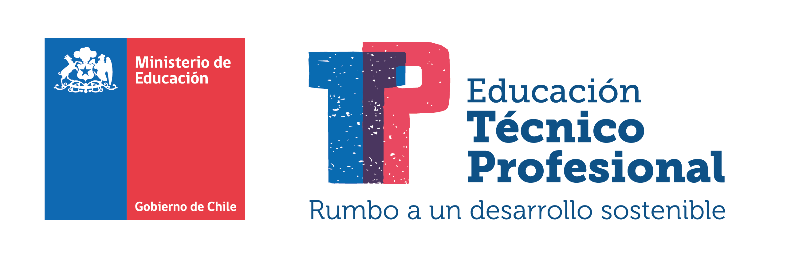 educacion tp