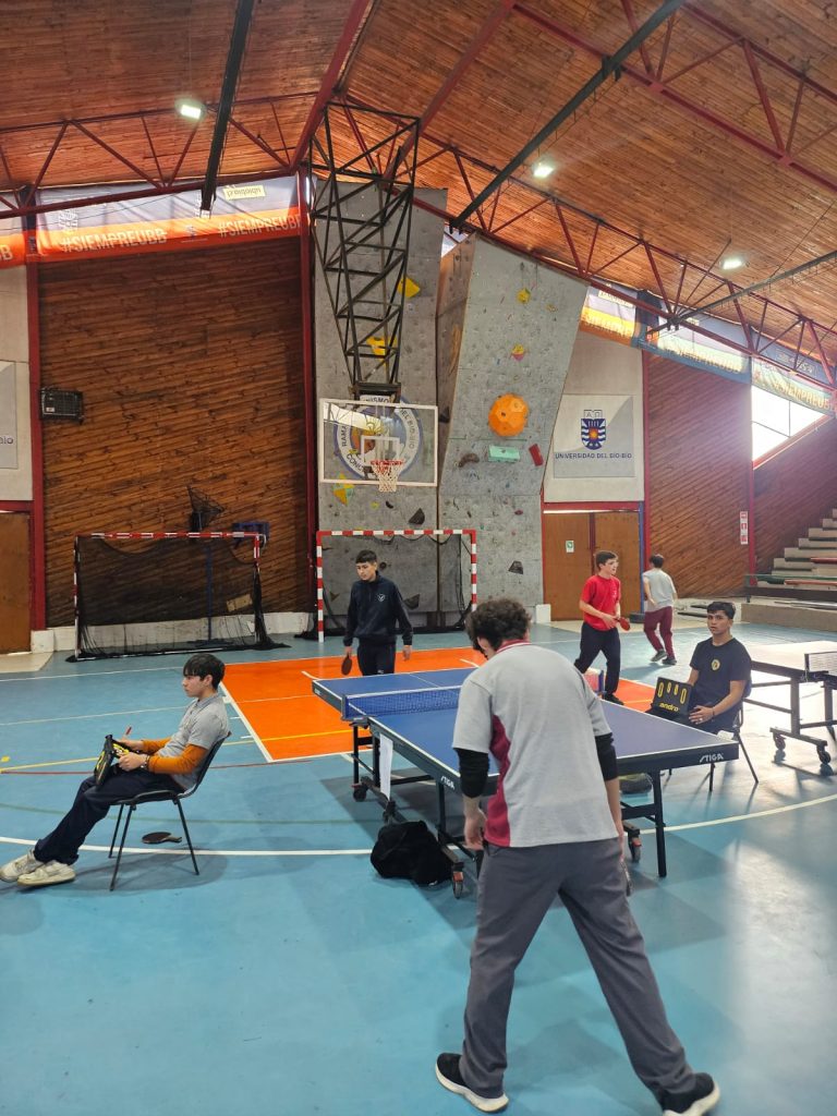 tenis de mesa 4 (1)