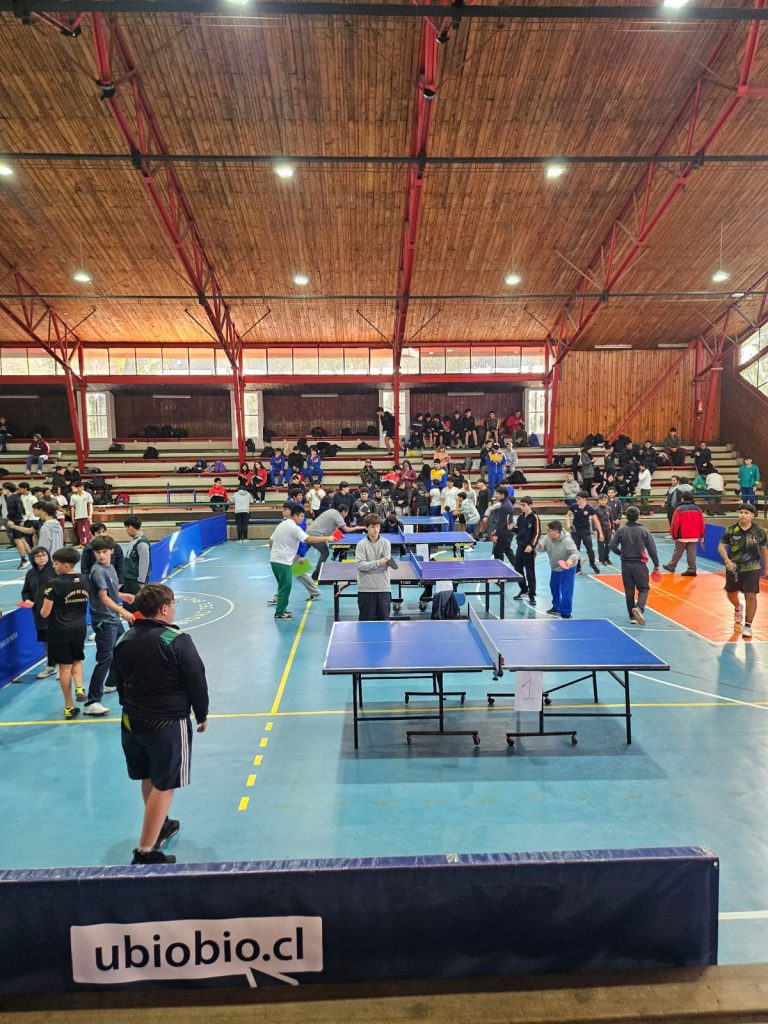 tenis ed mesa 2 (1)